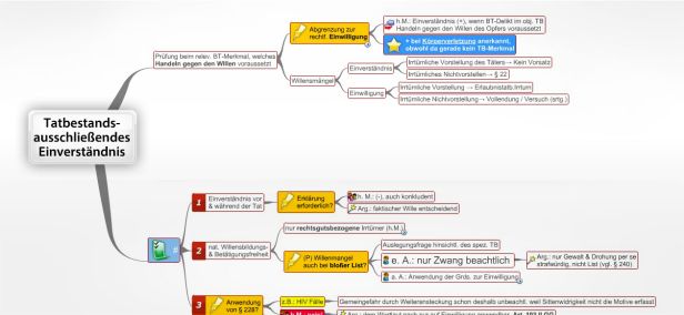 Schema Tatbestandsausschließendes Einverständnis