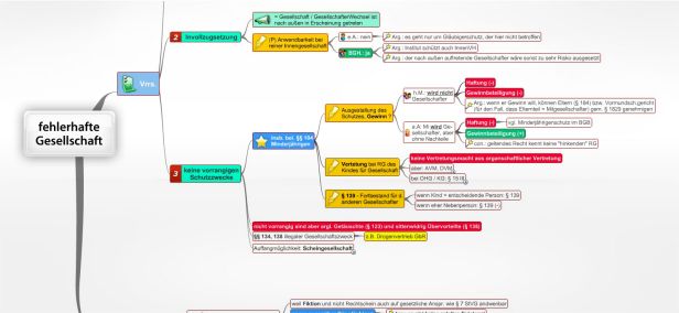 Schema fehlerhafte Gesellschaft